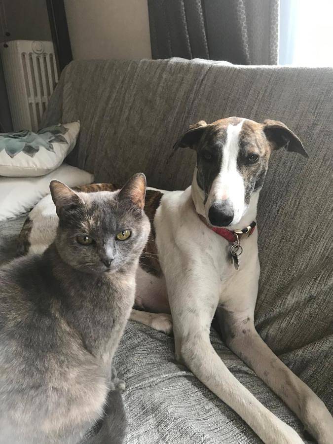 Chambre d’hôte pour 2 personnes, avec jardin ainsi que vue et vue sur le lac dans les Ardennes - 2
