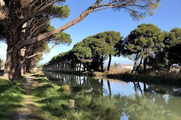Location de vacances pour 8 personnes, avec terrasse et jardin à Sallèles-d'Aude
