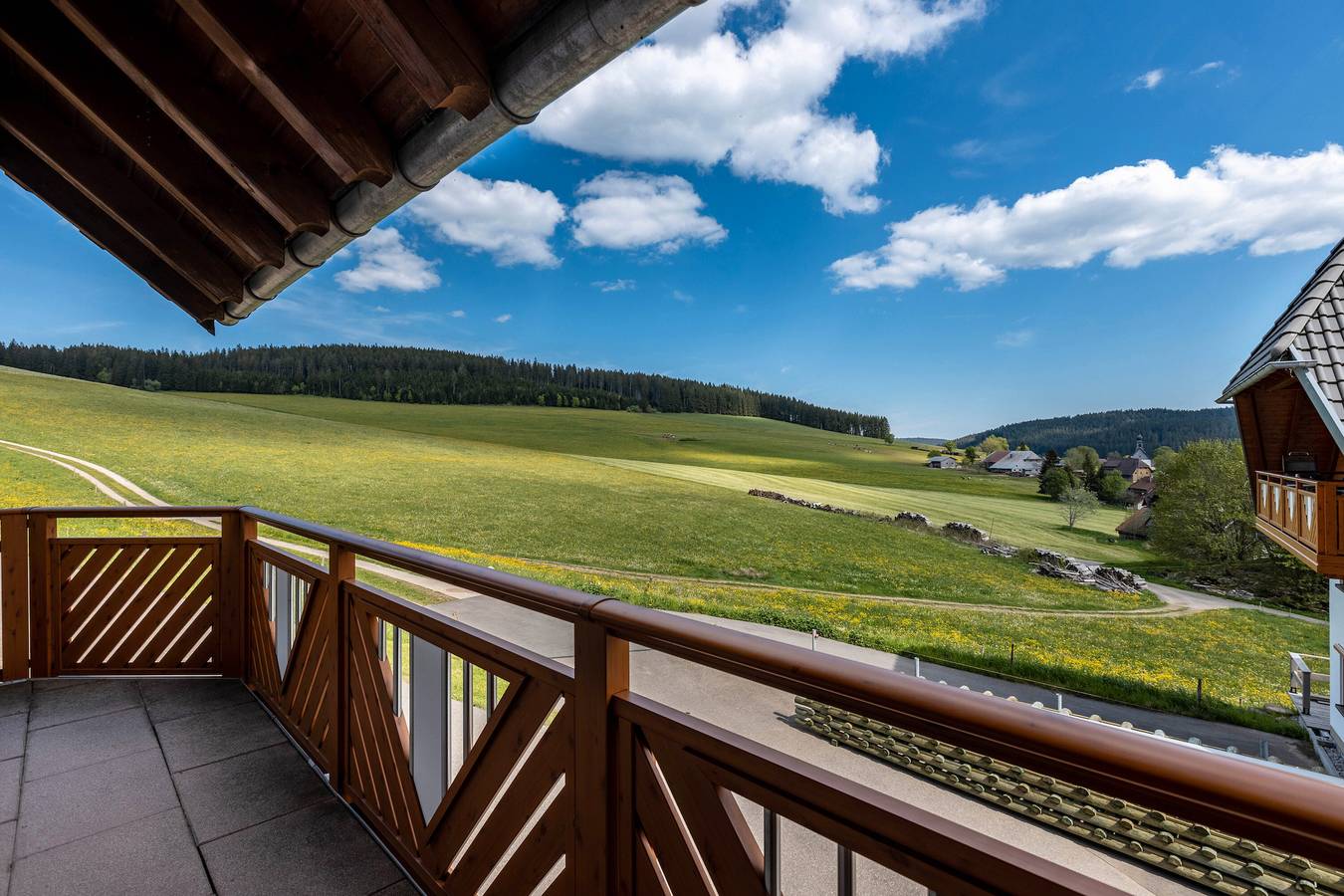 Entire apartment, Apartment 'Erdgeschoss' with Mountain View, Private Terrace and Wi-Fi in Eisenbach, Central Black Forest