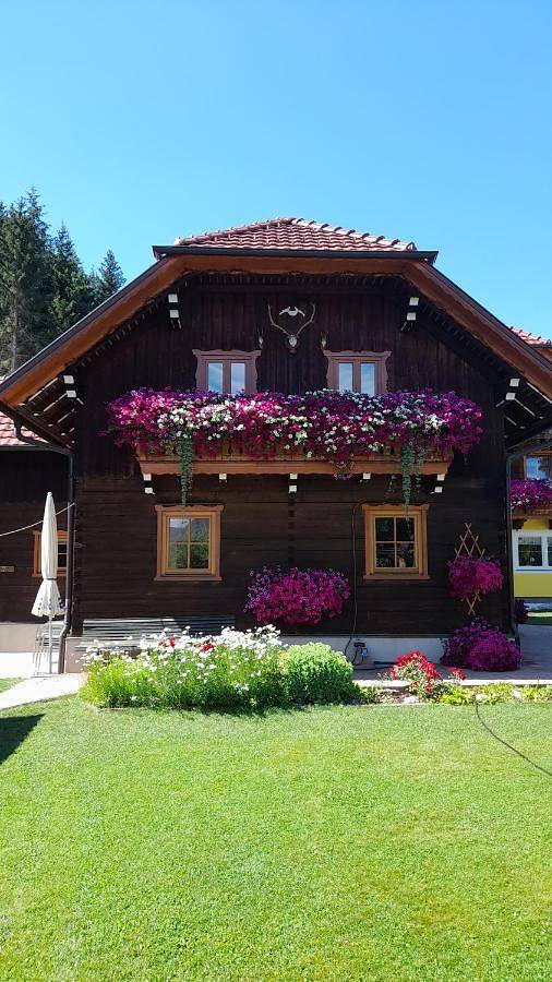 Ferienhaus für 5 Personen, mit Balkon und Terrasse sowie Garten und Ausblick in Tamsweg