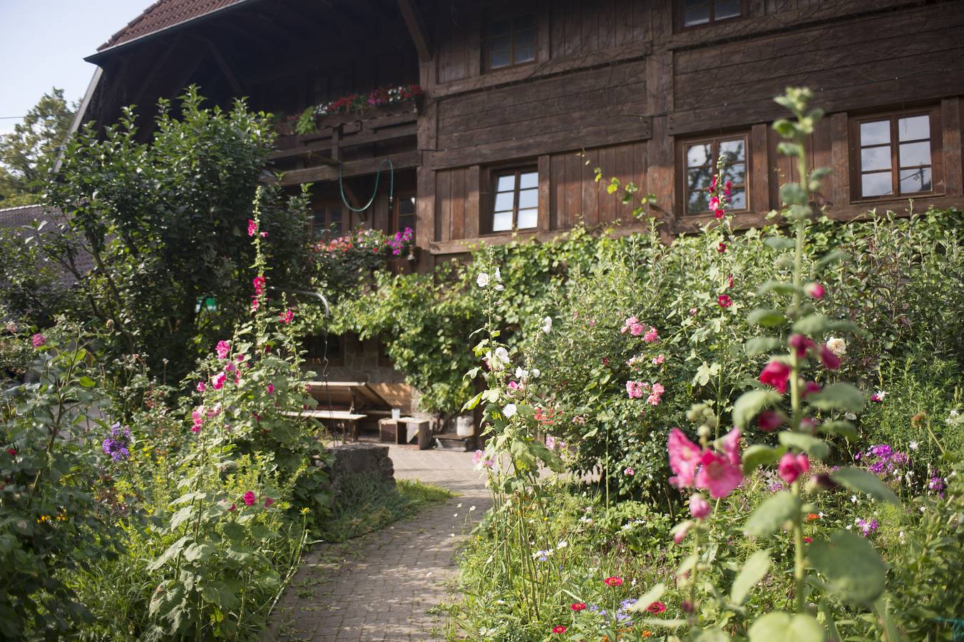 Entire apartment, Holiday Apartment 'Köpfle' with Mountain View, Shared Garden, and Wi-Fi in Glottertal, Southern Black Forest