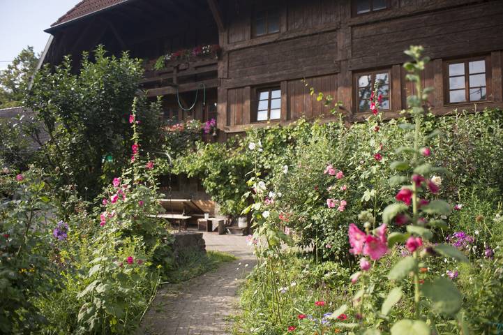 Gîte pour 4 personnes, avec jardin à Glottertal - 3