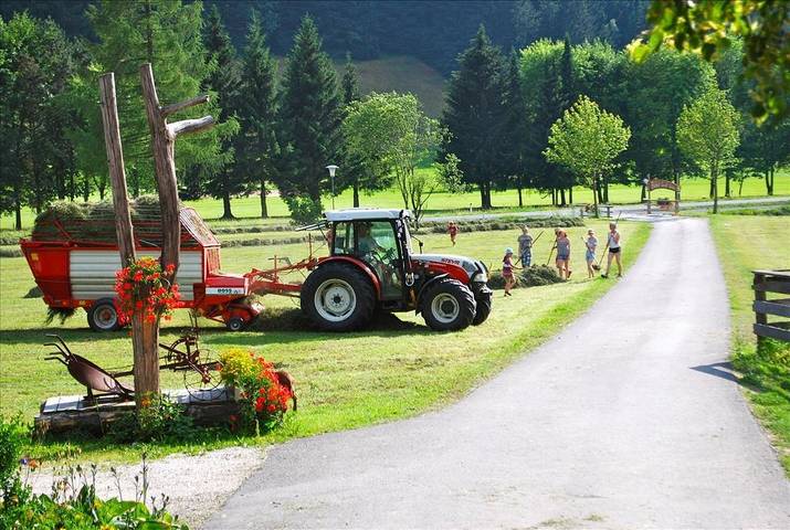 Bauernhaus für 4 Personen, mit Sauna und Ausblick sowie Garten, kinderfreundlich in Österreich - 3