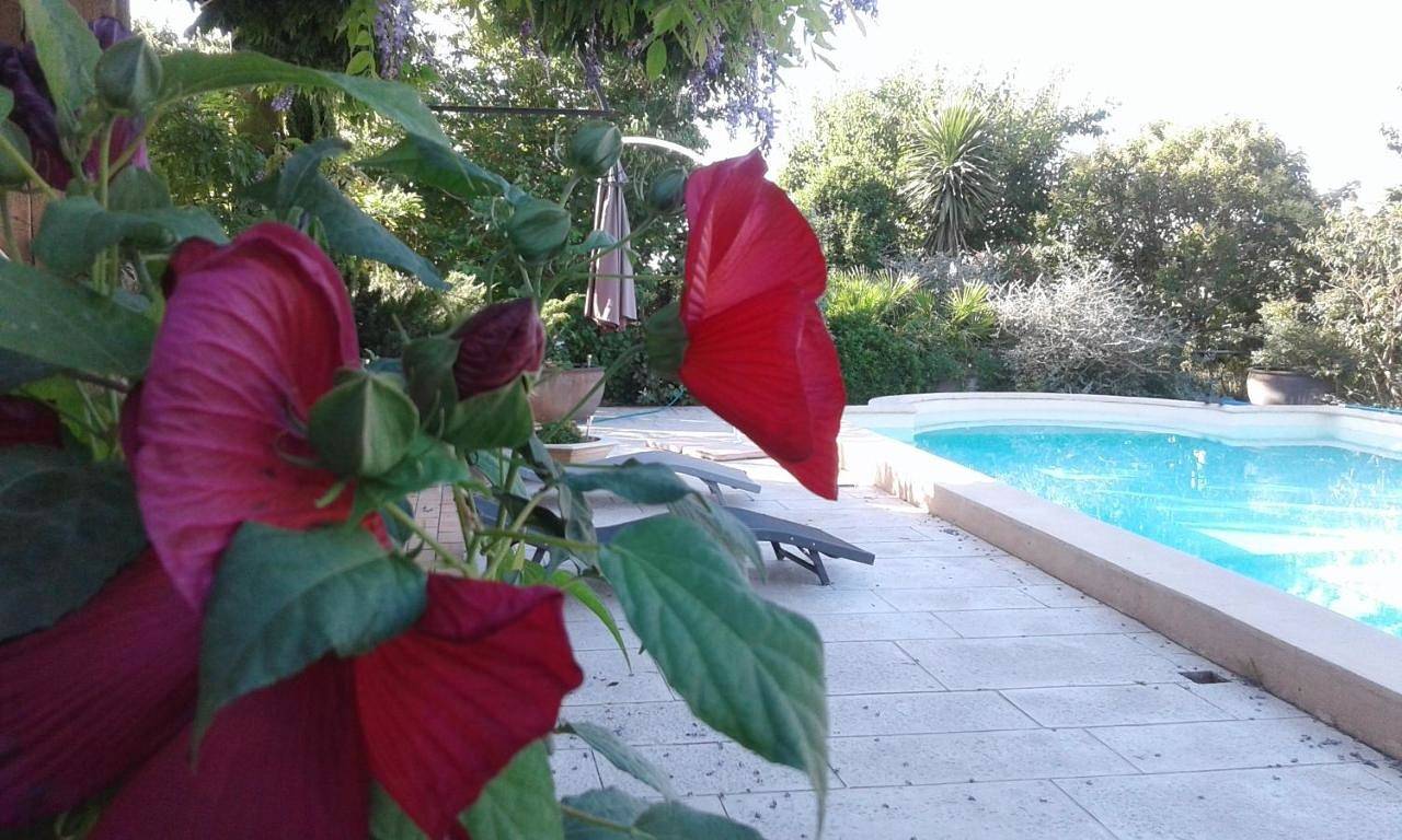 Suite (2 Adults) in Saint-Laurent-d'Aigouze, Côte méditerranéenne (France)