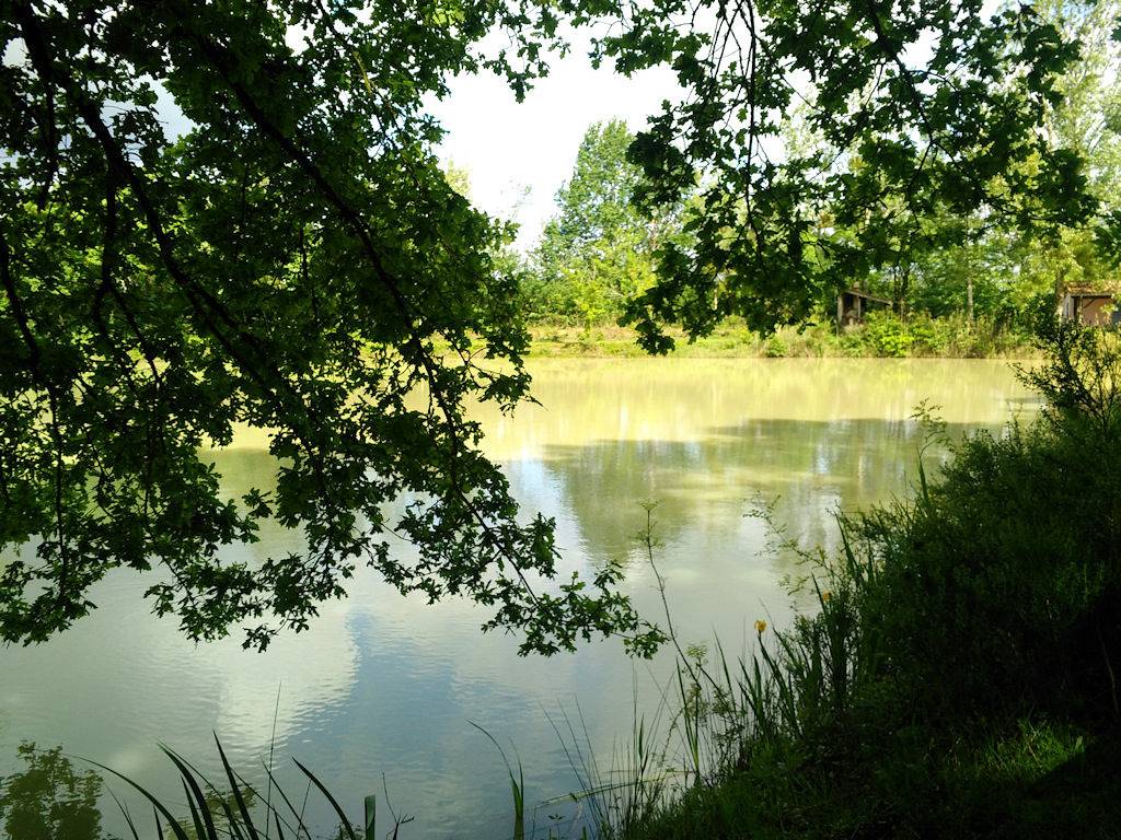 Gite Au Bonheur de la Brenne, parc naturel régional de la Brenne in Neuillay-les-Bois, Région de Châteauroux