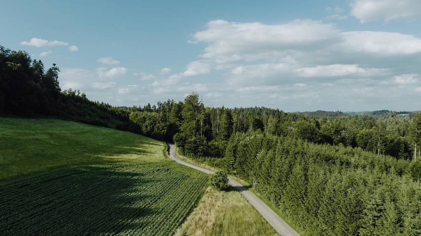 Ferienwohnung für 6 Personen, mit Balkon und Garten sowie Ausblick in Neukirch - 4