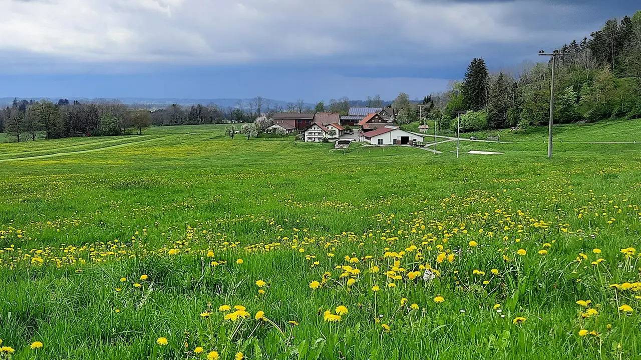 Ganze Ferienwohnung, Ferienwohnung für 2 Personen (54 m²) in Isny im Allgäu in Isny im Allgäu, Region Bodensee-Oberschwaben
