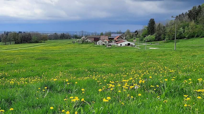 Ferienwohnung für 7 Personen, mit Terrasse in Isny im Allgäu