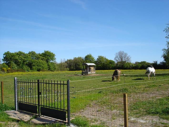 Location de vacances pour 4 personnes, avec terrasse ainsi que vue et jardin, adapté aux familles à Grosbreuil - 4