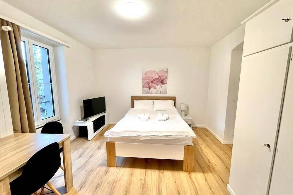 Entire apartment, Heart of Zurich Modern Studio (Hg20) in Zurich, Zurich district