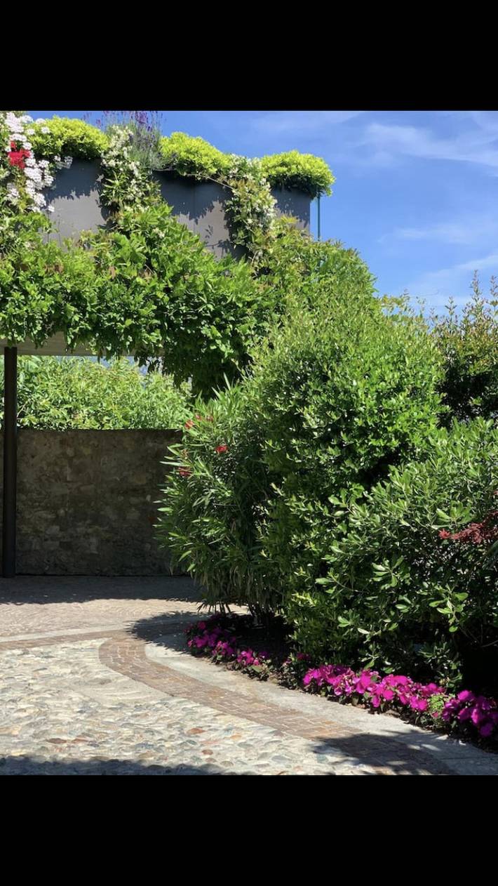 Location de vacances pour 4 personnes, avec jardin et vue sur le lac, animaux acceptés à Bellagio - 2