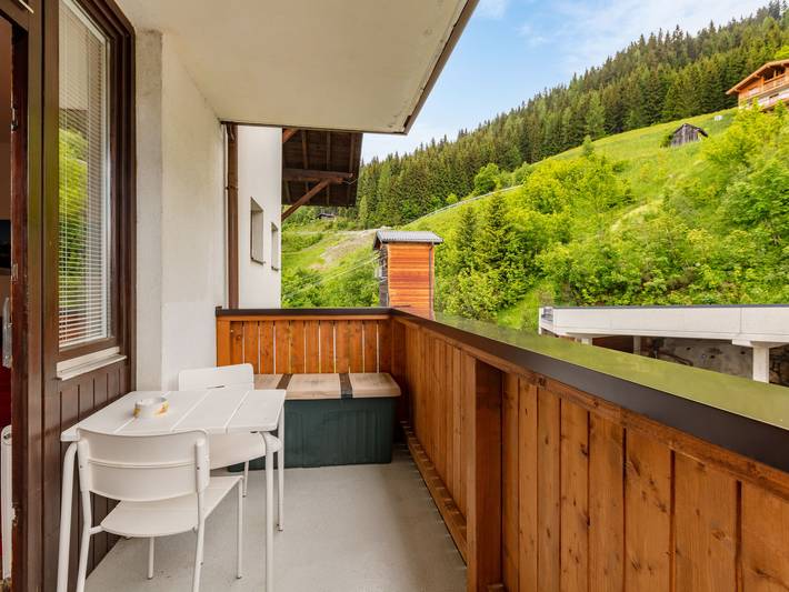 Ganze Wohnung, Appartement Ulli in Hochkönigstock, Mühlbach am Hochkönig