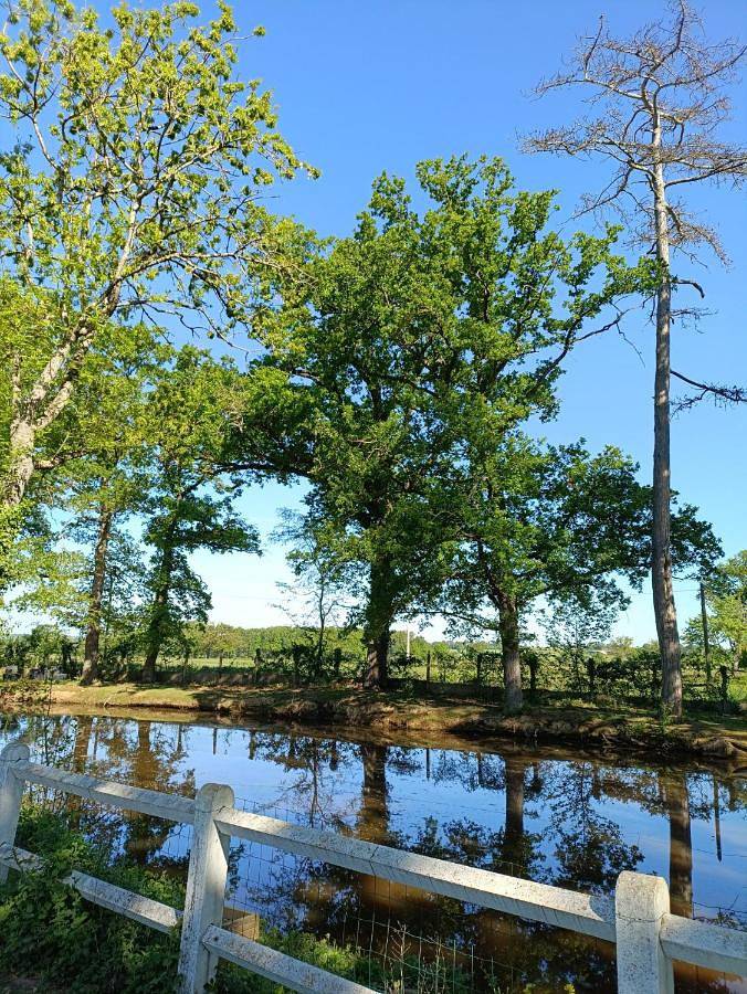 Location de vacances pour 7 personnes, avec Jacuzzi et Terrasse ainsi que Jardin et Sauna à Chazemais - 4