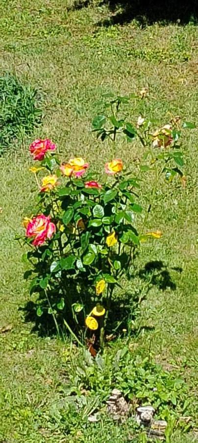 Double Room in Baulne-en-Brie, Aisne