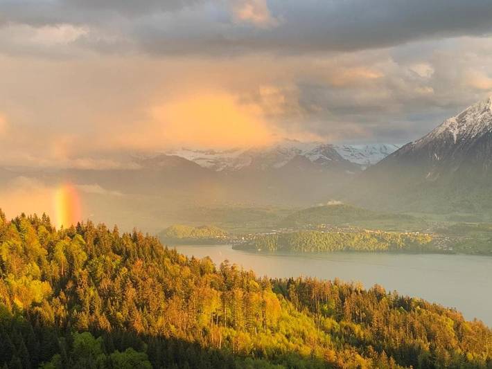 Hotel für 2 Personen, mit Ausblick und Seeblick sowie Garten und Balkon am Thunersee