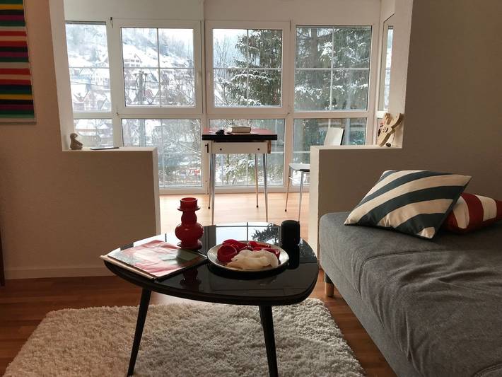 Hel lejlighed, Apartment 'Haus Sonnenhang' with Old Town View in Schiltach, Kinzig Valley