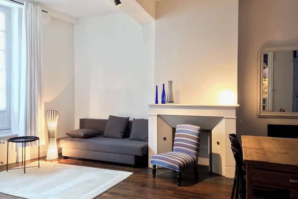 Entire apartment, Sur La Route de Beauval 5 mn du Zoo - Cosy apartment - 1 to 2 persons in Saint-Aignan, Romorantin-Lanthenay region