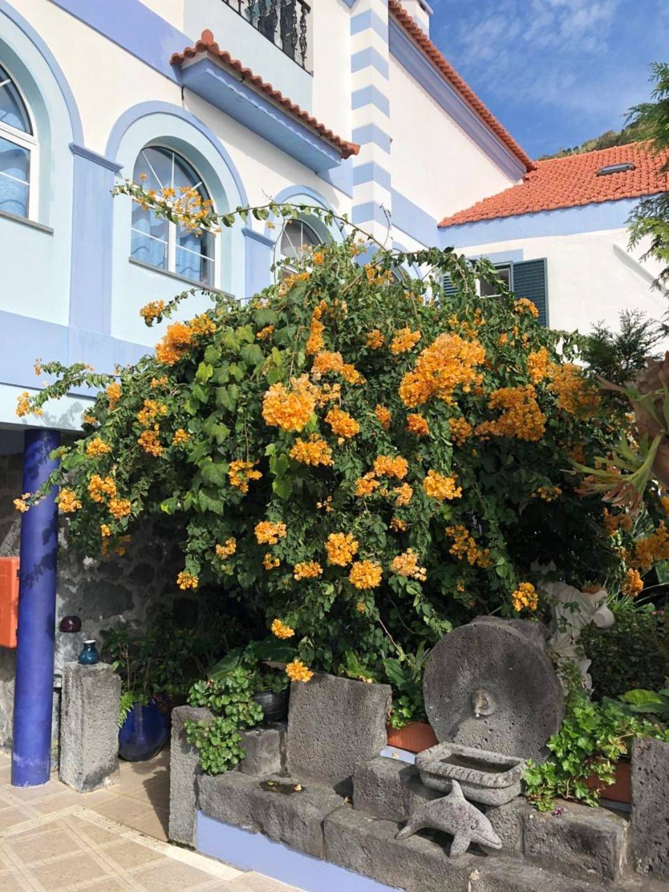 Casa Do Antonio in Velas (São Jorge), São Jorge (Portugal)