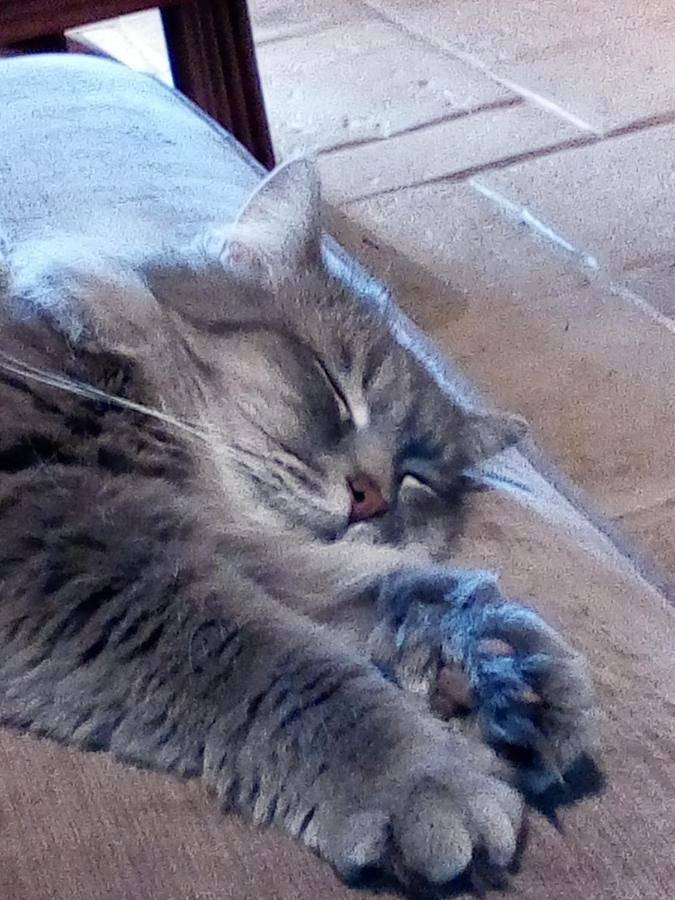 Chambre d’hôte pour 2 personnes, avec jardin dans Haute-Vienne - 2