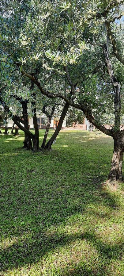 Apartamento de vacaciones para 6 personas, con jardín y vistas - 1