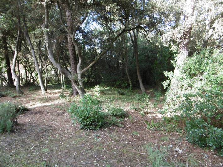 Location de vacances pour 6 personnes, avec terrasse dans Plage de la Linière - 2