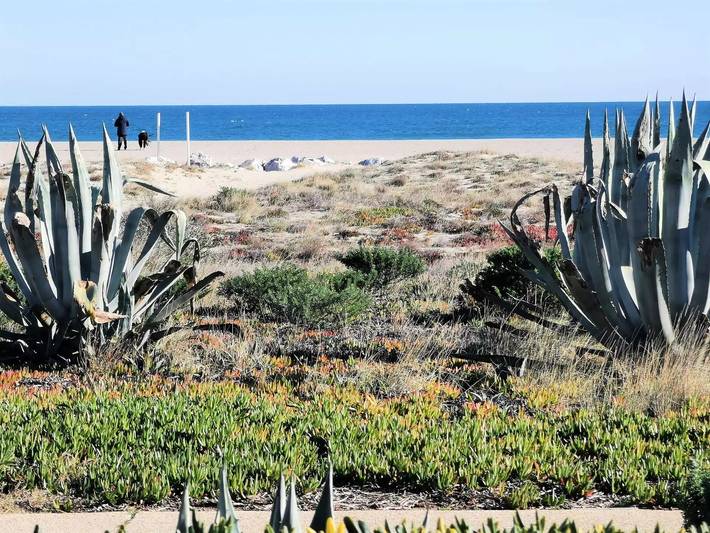 Gîte pour 3 personnes, avec vue et terrasse, animaux acceptés dans Port Leucate - 4
