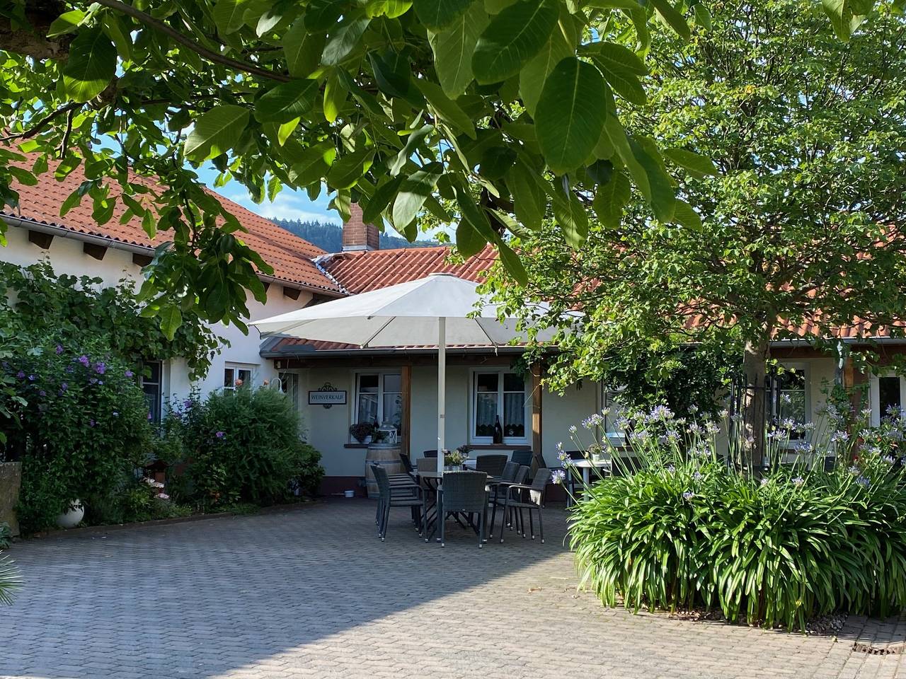 Ferienwohnung Weingut Sturm - Ferienwohnung in Bürgstadt, Fränkisches Weinland