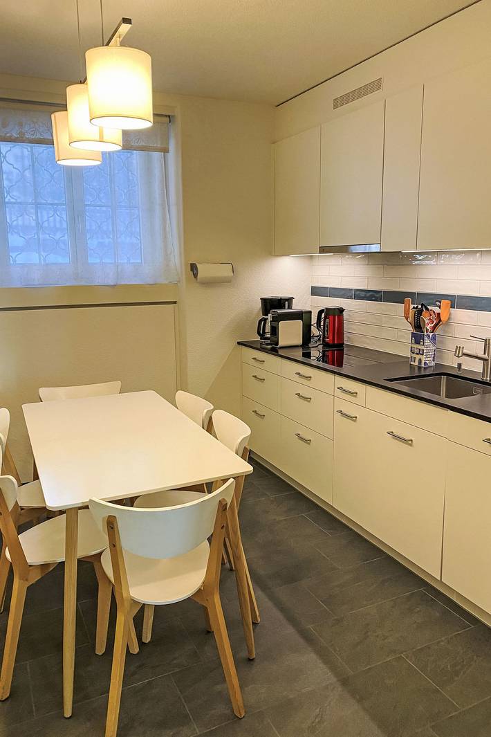 Gîte pour 6 personnes, avec jardin et balcon, animaux acceptés à Davos - 4