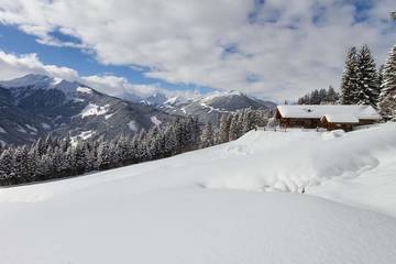 Ferienhaus für 14 Personen in Viehhofen, Salzburger Land, Bild 1
