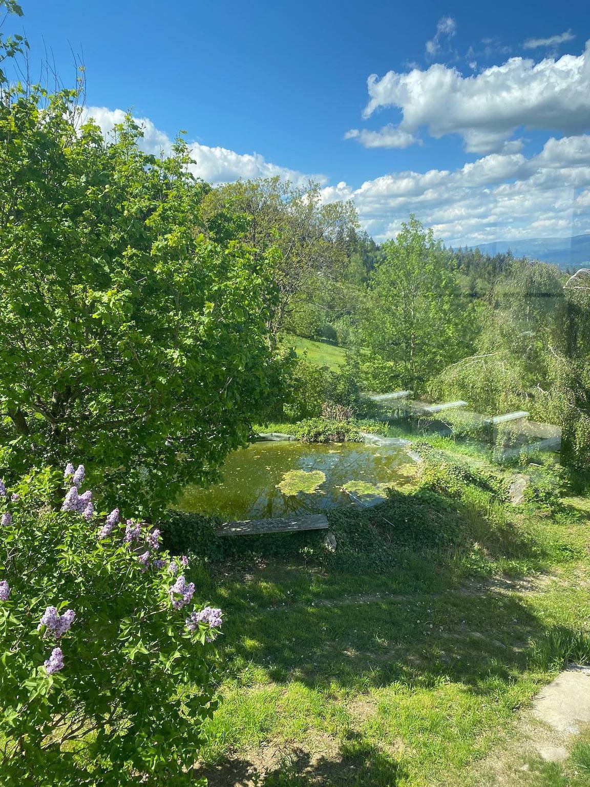 Ganze Ferienwohnung, Ferienwohnung Kräuterhof in Bezirk Rohrbach