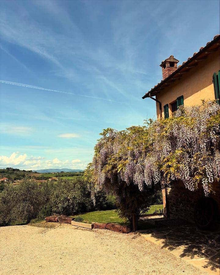 Ganze Wohnung, Casolare Marconi in Panicale, Lago Trasimeno
