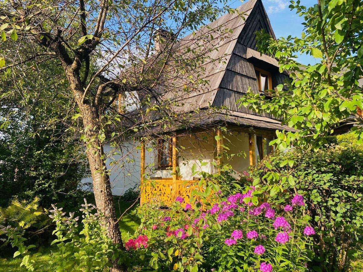 Domek Leśny in Zakopane, Karpaty (Polska)
