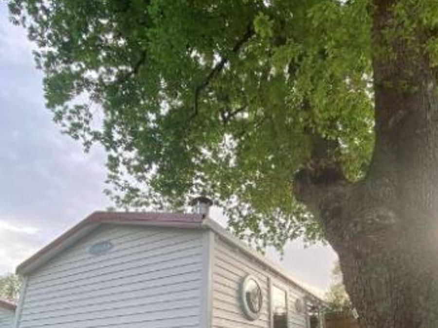 Camping Biper Gorri - Mobilheim 4 personen - Mh1 Essential Ophea 504 in Espelette, Bayonne und Umgebung