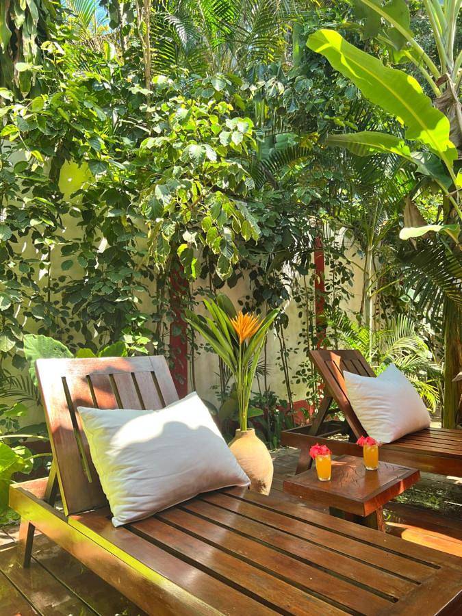 Chambre d’hôte pour 8 personnes, avec jardin, animaux acceptés à Trancoso - 4