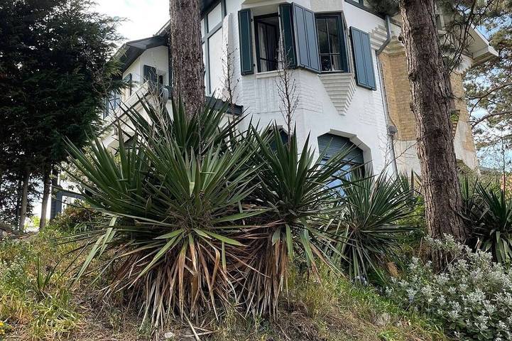 Ferienhaus für 7 Personen, mit Garten und Terrasse, mit Haustier in De Panne