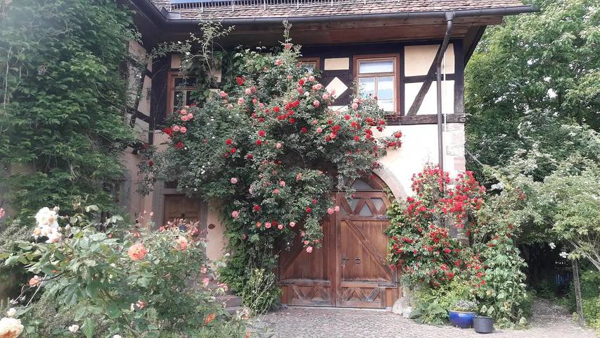 Ferienwohnung für 4 Personen, mit Garten in Main-Odenwald - 2