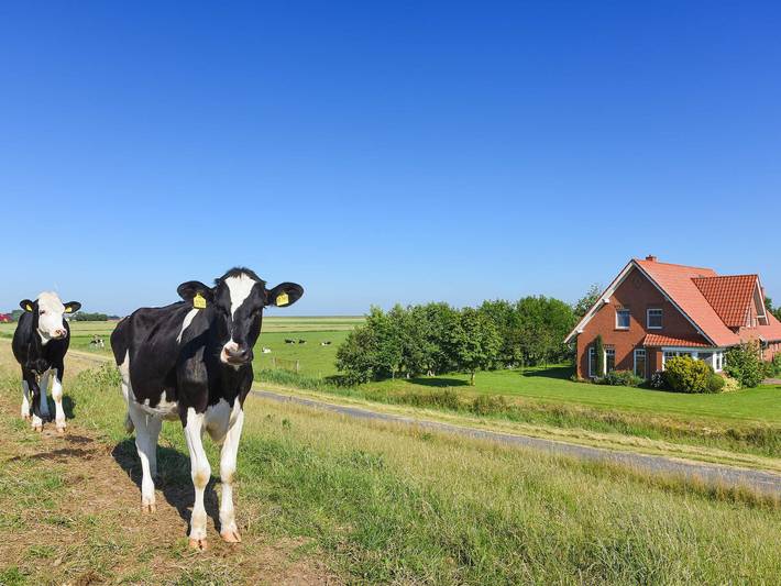 Ferienhof Heinen in Elisabethgroden - Ferienwohnung Deichwind in Neu Augustengroden, Wangerland