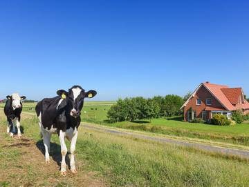 Bauernhaus für 5 Personen in Wangerland, Nordsee, Bild 4