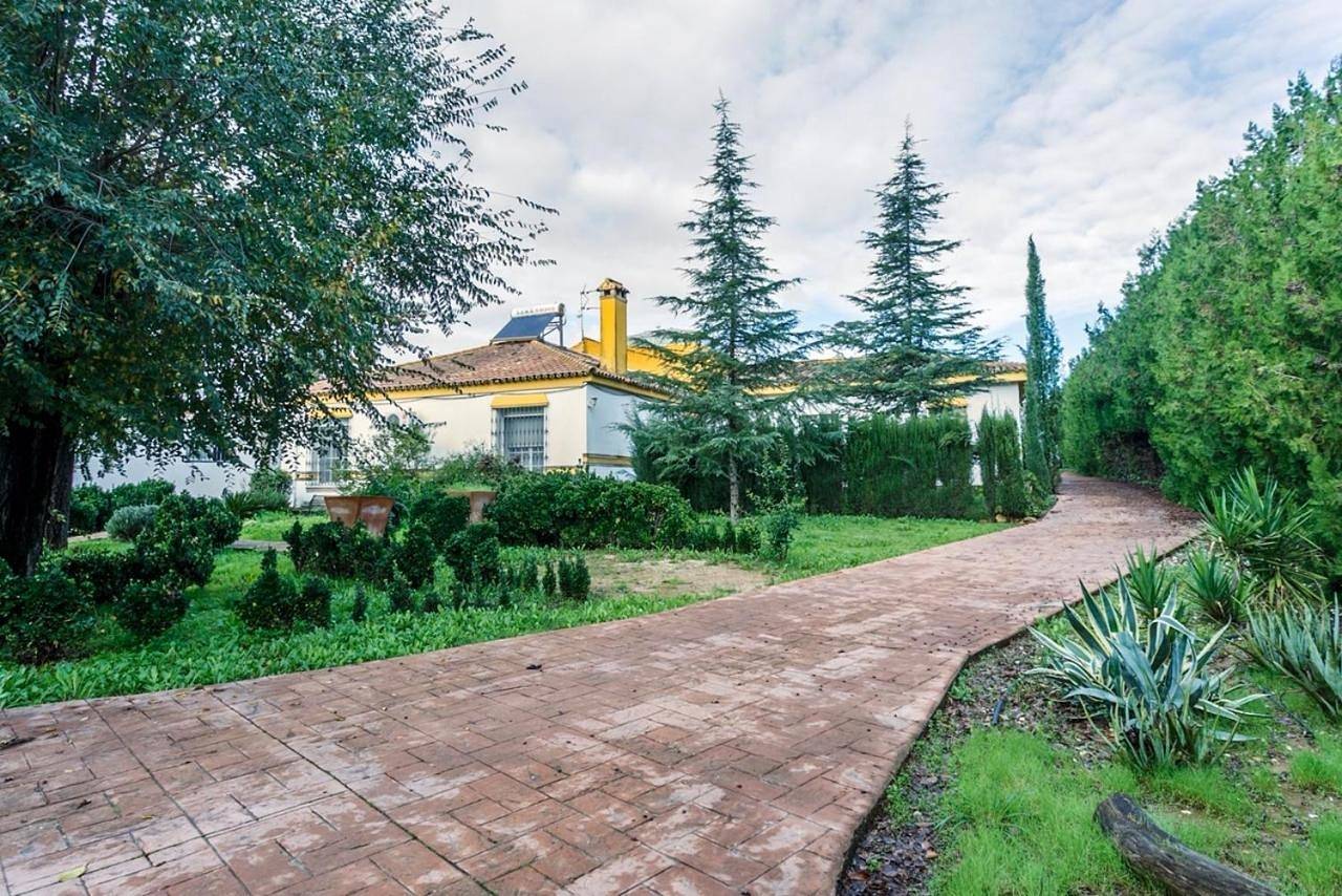 Apartamento vacacional entero, Casa Elizabeth in Mairena del Aljarafe, Provincia de Sevilla