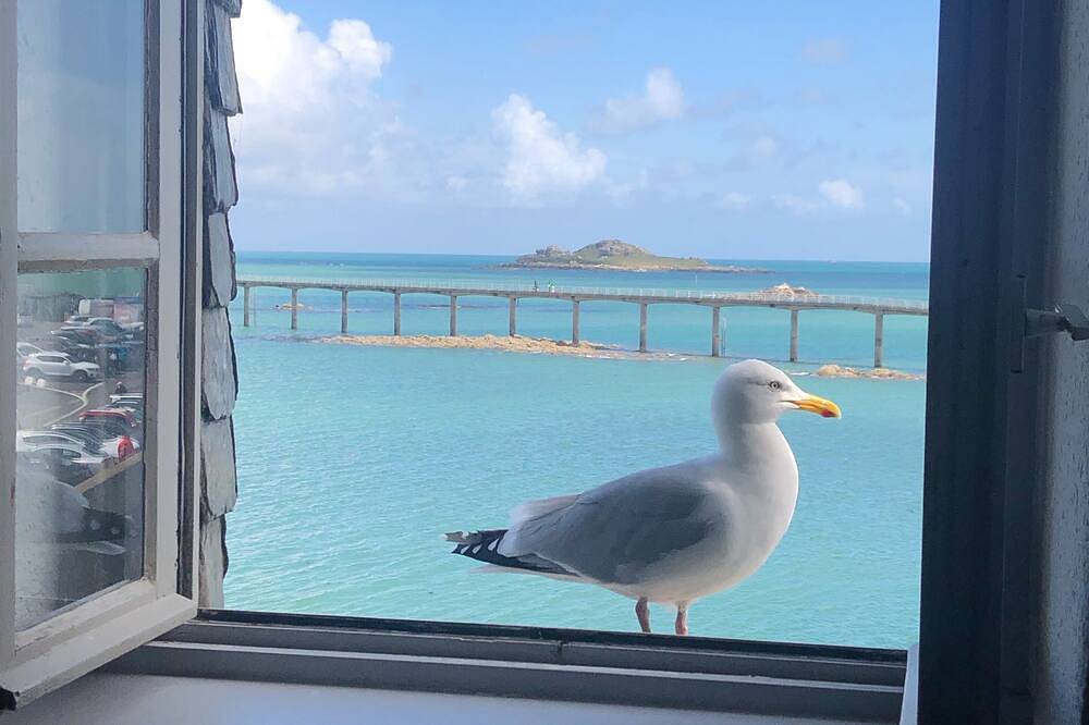 Ganze Wohnung, Waterfront duplex in the heart of the historic center in Roscoff, Ceinture Dorée