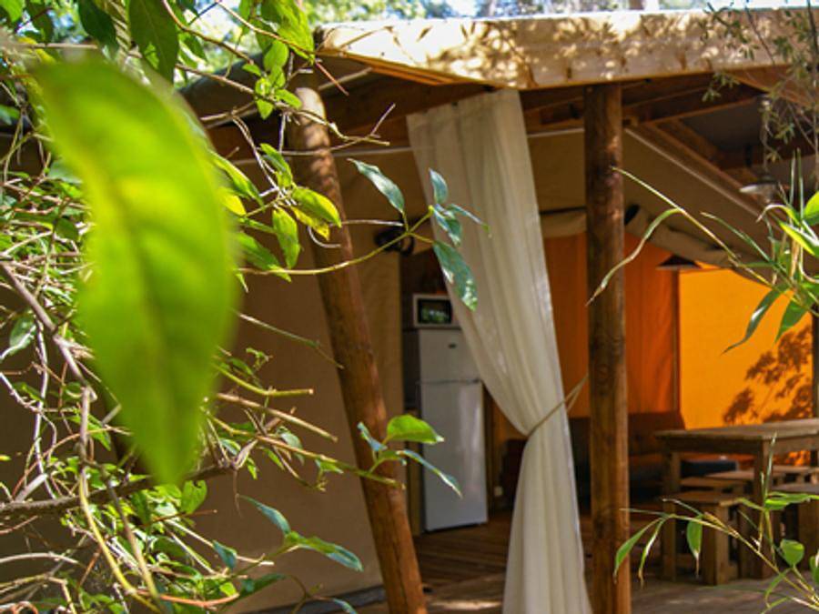 Camping Le Beau Vezé - Albergue 8 personas - Lodge Cotton 32m2 6/8 P (3 dormitorios) in Carqueiranne, Region de Toulon