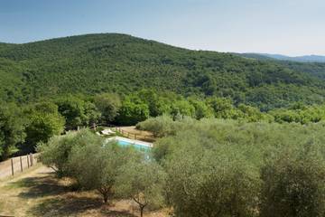 Glamping per 10 Persone in Radda in Chianti, Chianti, Foto 1