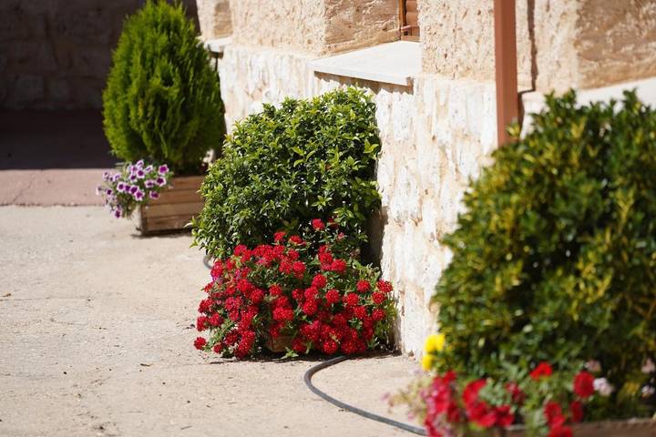Casa rural para 6 personas, con terraza y vistas, Se admiten mascotas en Ribera del Duero - 4