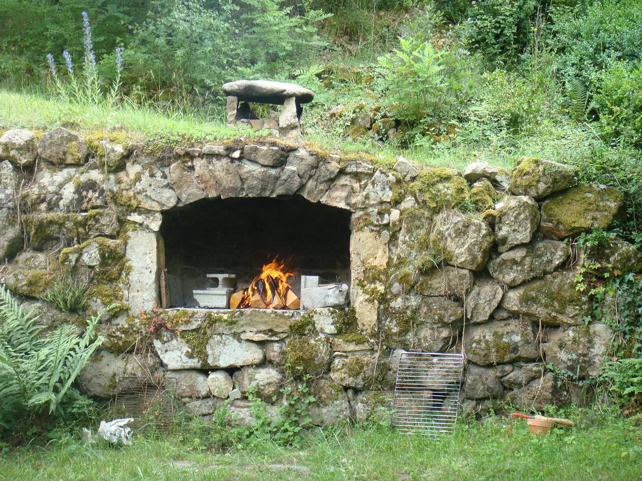 Rossignol in Boucieu-le-Roi, Région de Tournon-sur-Rhône