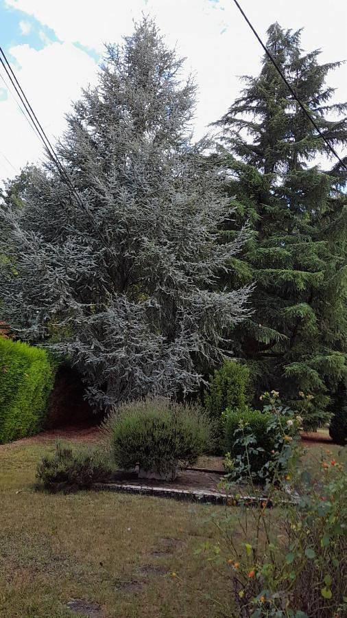 Maison de vacances pour 6 personnes, avec Balcon ainsi que Terrasse et Jardin à Olivet