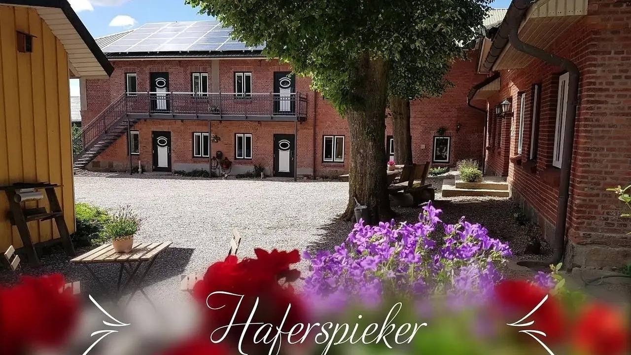 Ganze Ferienwohnung, Ferienwohnung für 4 Personen (53 m²) in Mittelangeln in Havetoftloit, Mittelangeln