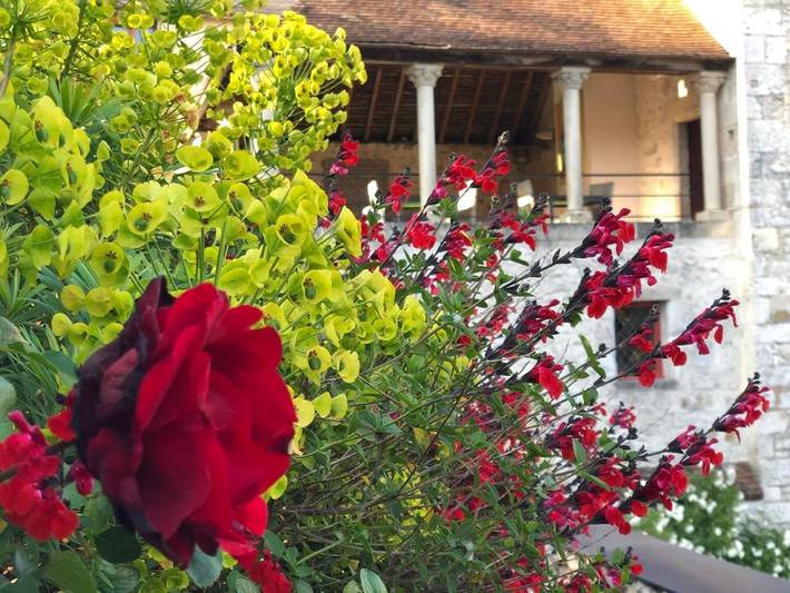 Chambre d’hôte pour 5 personnes, avec jardin et terrasse dans Seine-et-Marne - 2