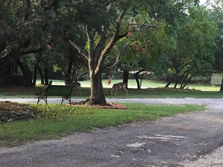 Gîte pour 4 personnes, avec jardin à San Antonio - 2