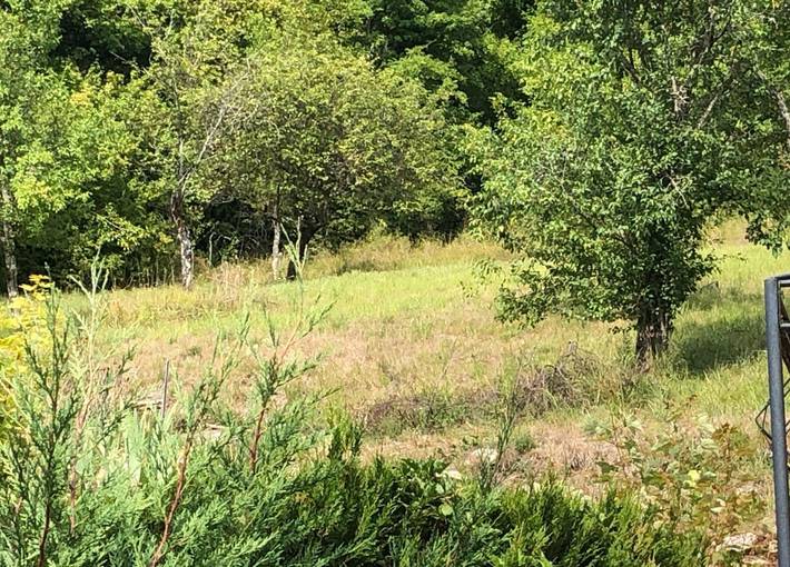 Chambre d’hôte pour 2 personnes, avec jardin dans Haute-Marne