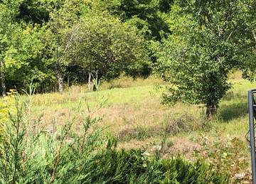 Chambre d’hôte pour 2 personnes, avec jardin à Cirey-sur-Blaise